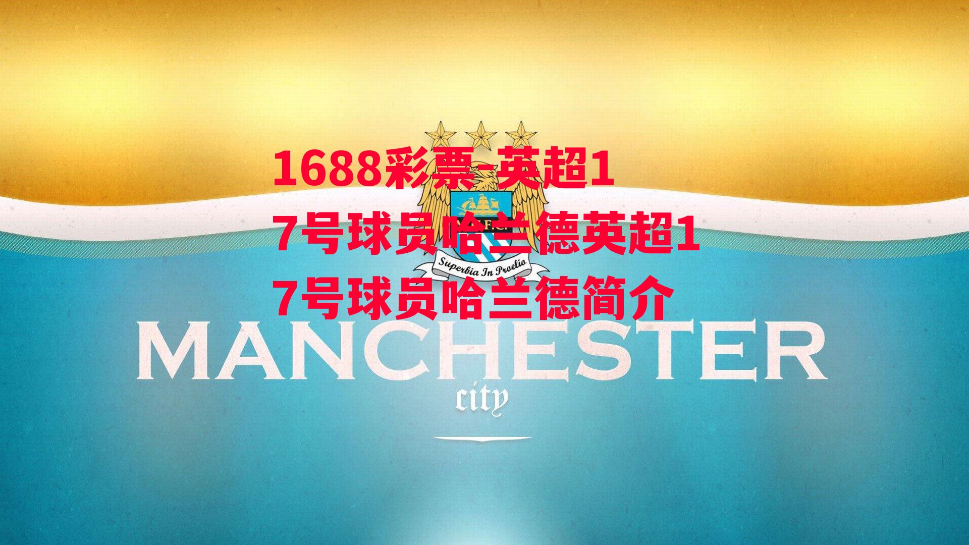 1688彩票-英超17号球员哈兰德英超17号球员哈兰德简介